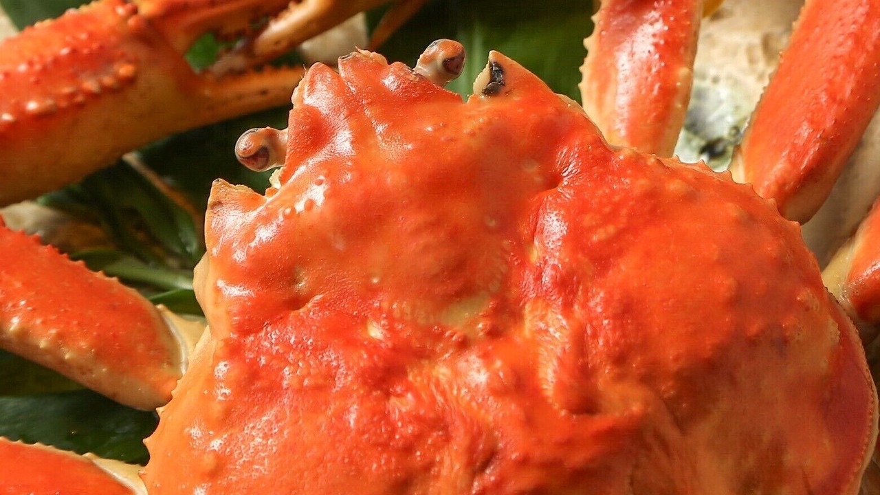 Photo of Others in Sakai
