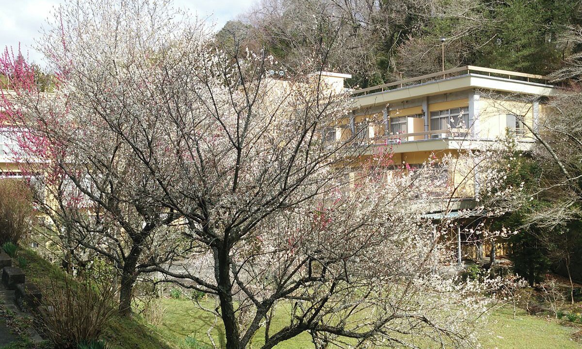 Photo of Outdoor in Iwaki