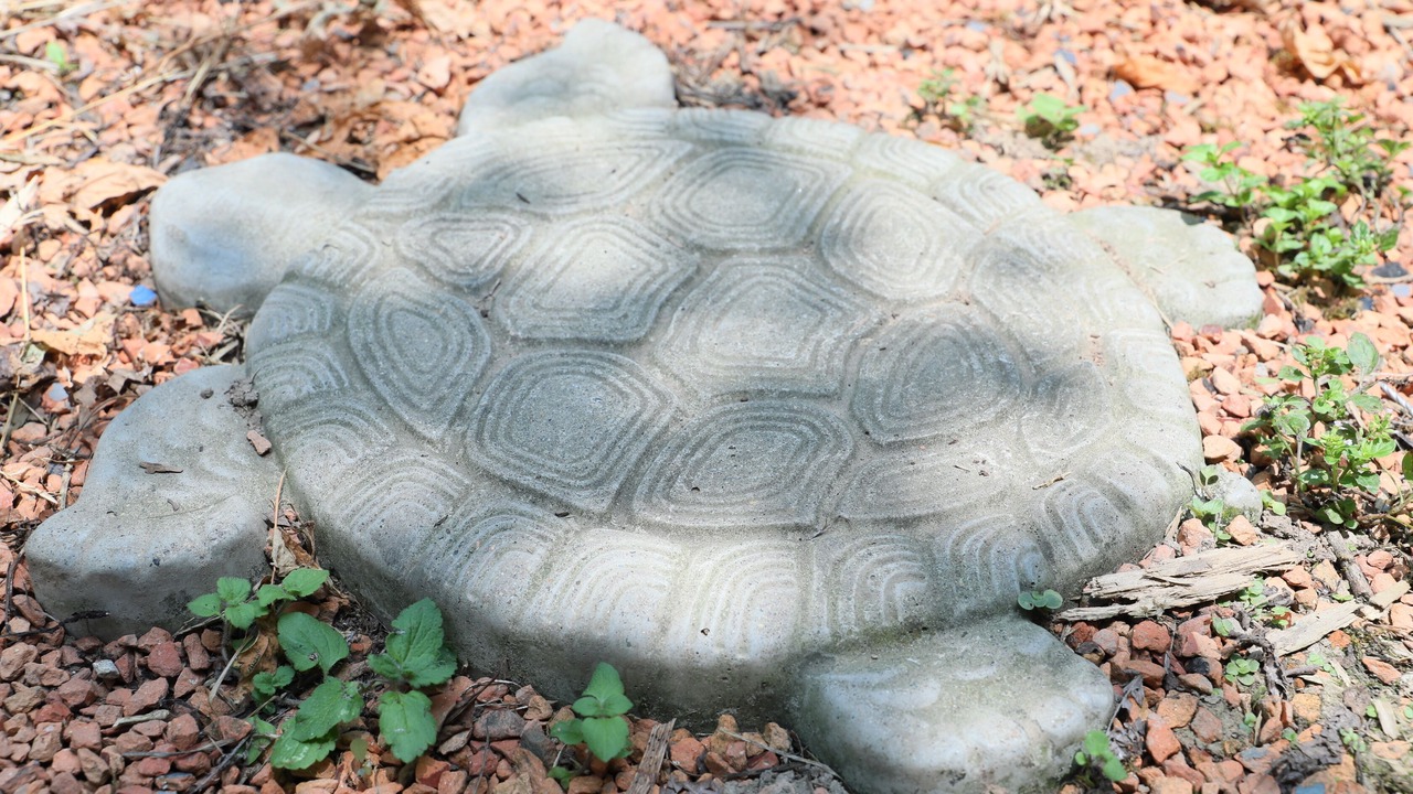 Photo of Outdoor in Seki