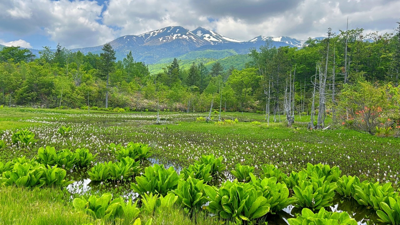 Photo of Others in Matsumoto