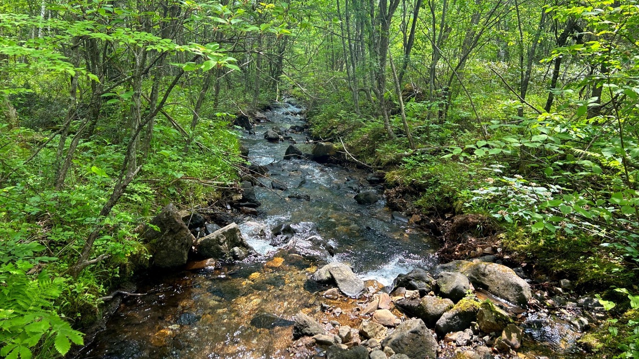 Photo of Outdoor in Matsumoto