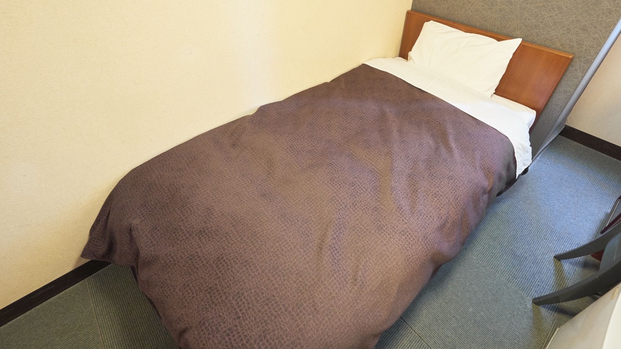 Photo of Bedroom in Nasushiobara
