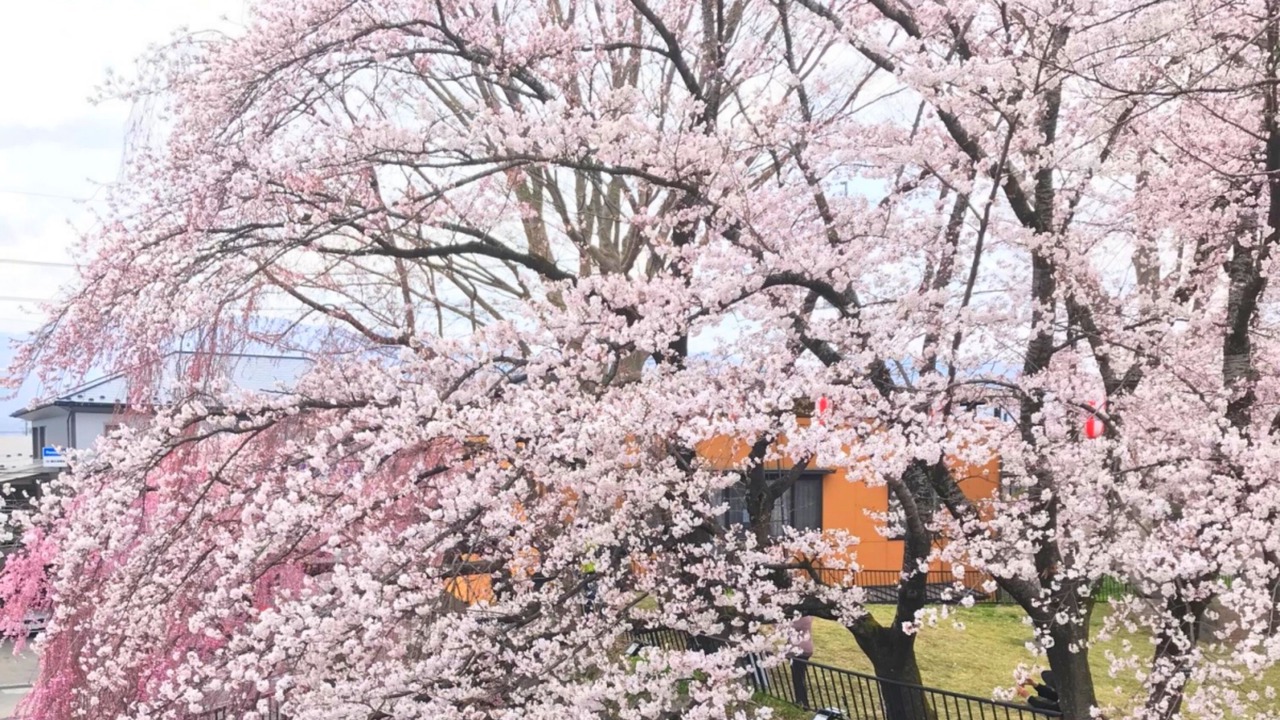 Photo of Outdoor in Shirakabako