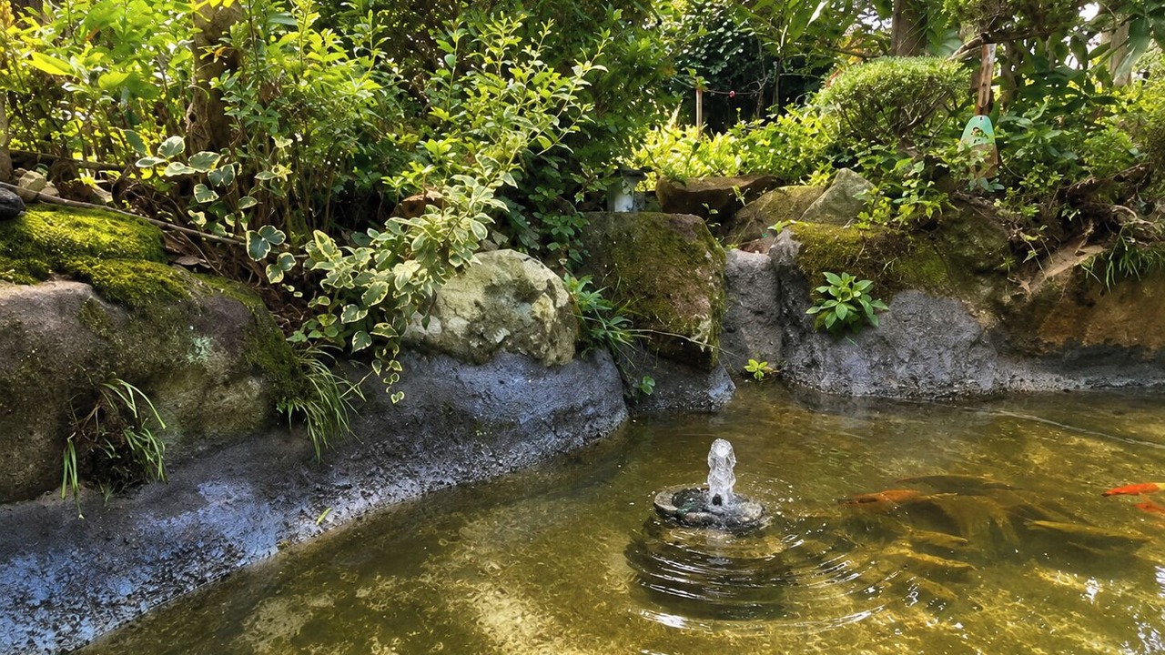 Photo of Outdoor in Kai