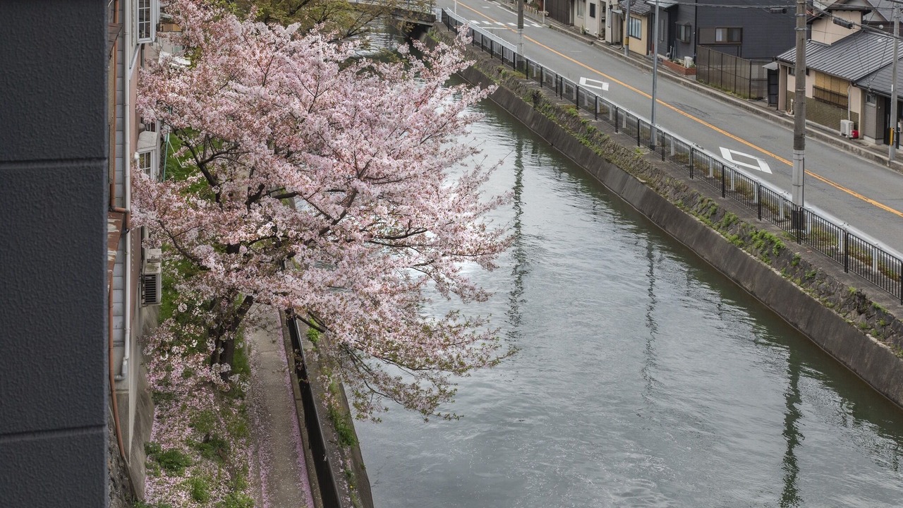 Photo of Others in Higashiyama