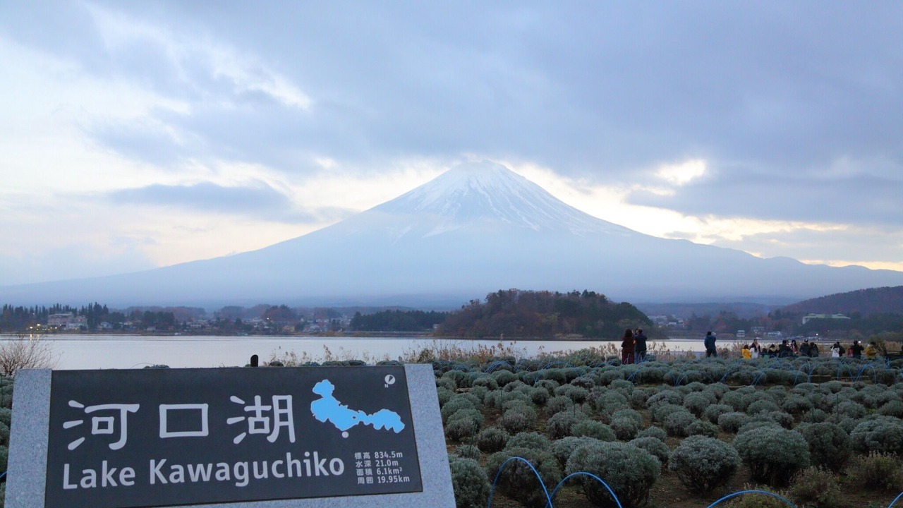 Photo of Others in Fujikawaguchiko