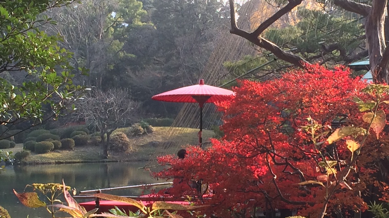 Photo of Outdoor in Toshima