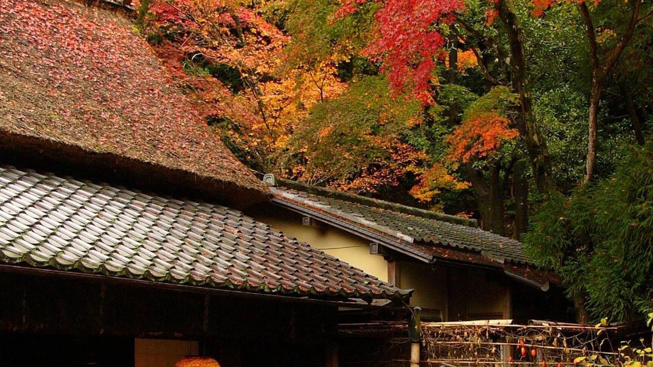 Photo of Outdoor in Nishijin