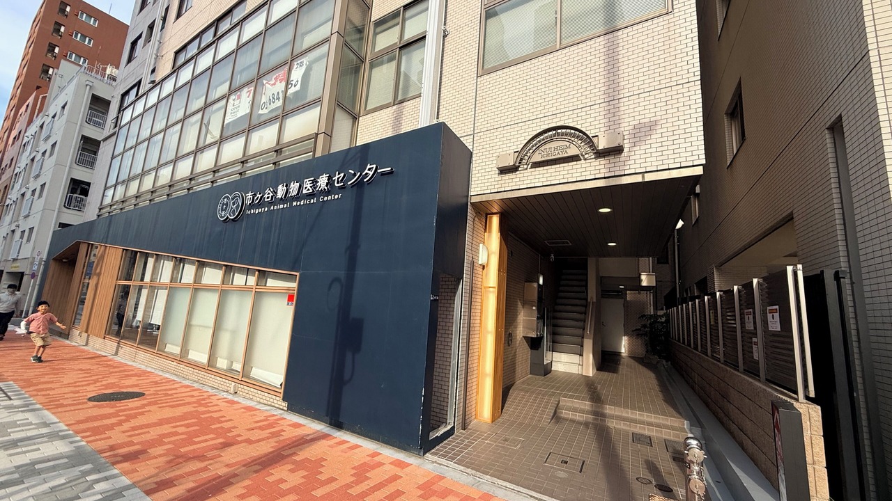 Photo of Outdoor in Shinjuku