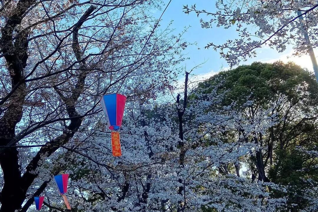 Photo of Others in Kita
