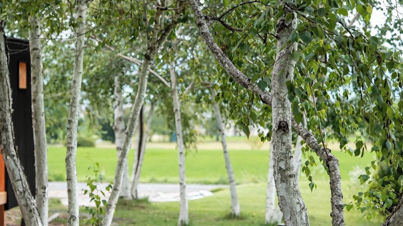 Photo of Outdoor in Azumino