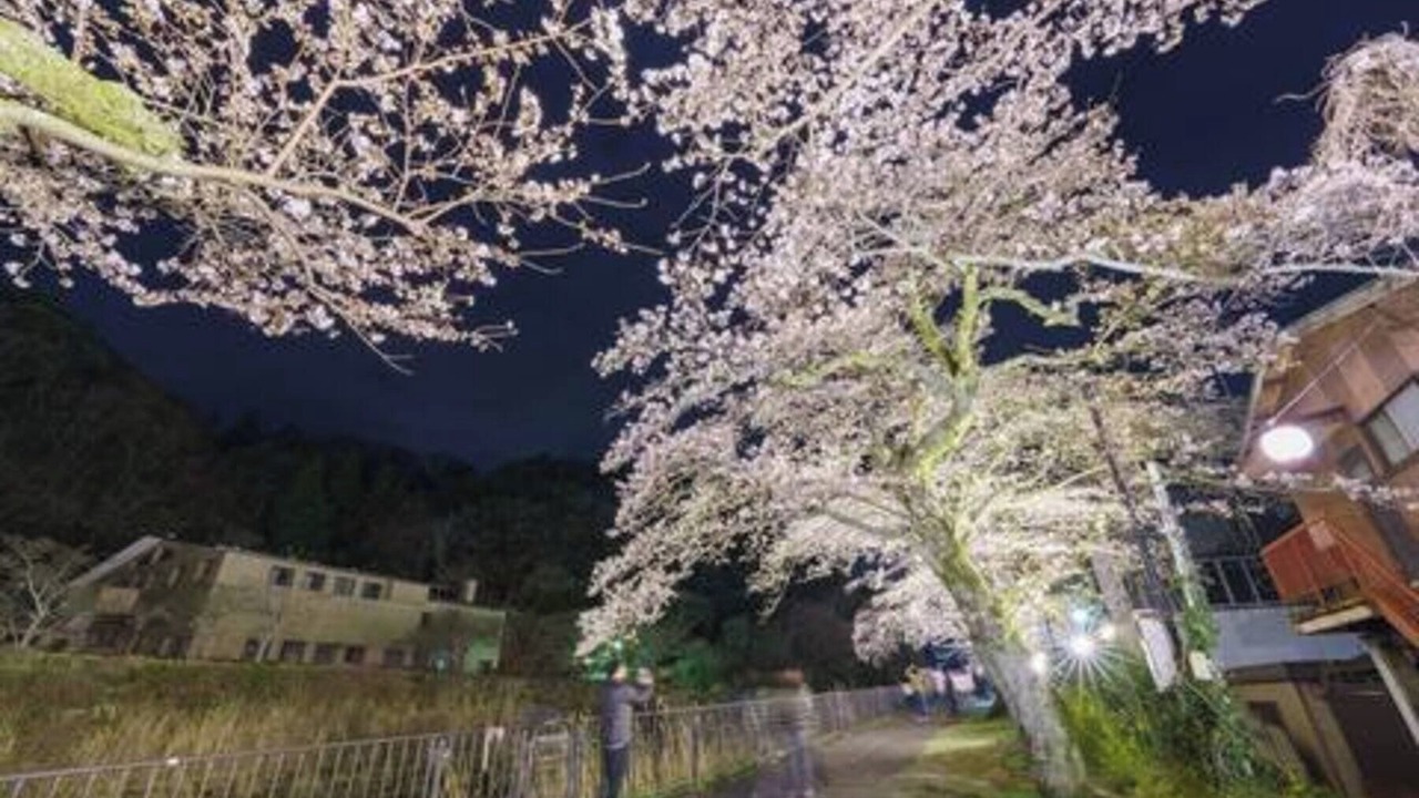 Photo of Others in Hakone
