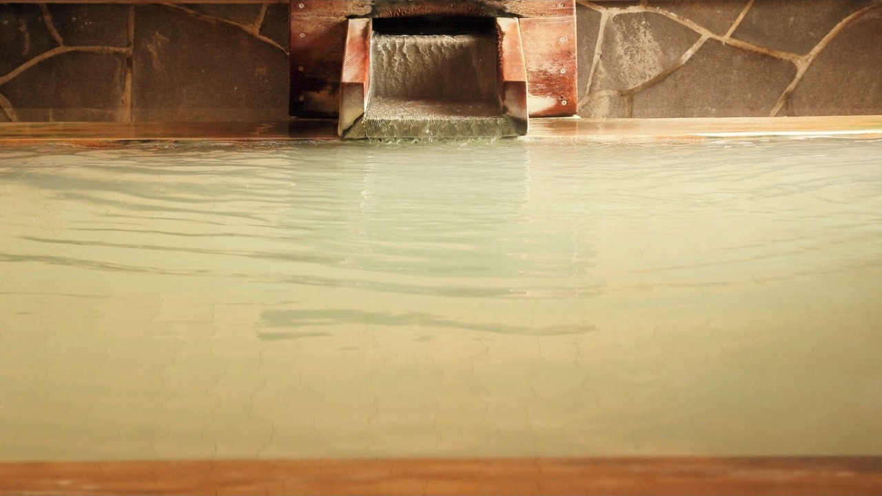 Photo of Others in Nakayamadaira Onsen
