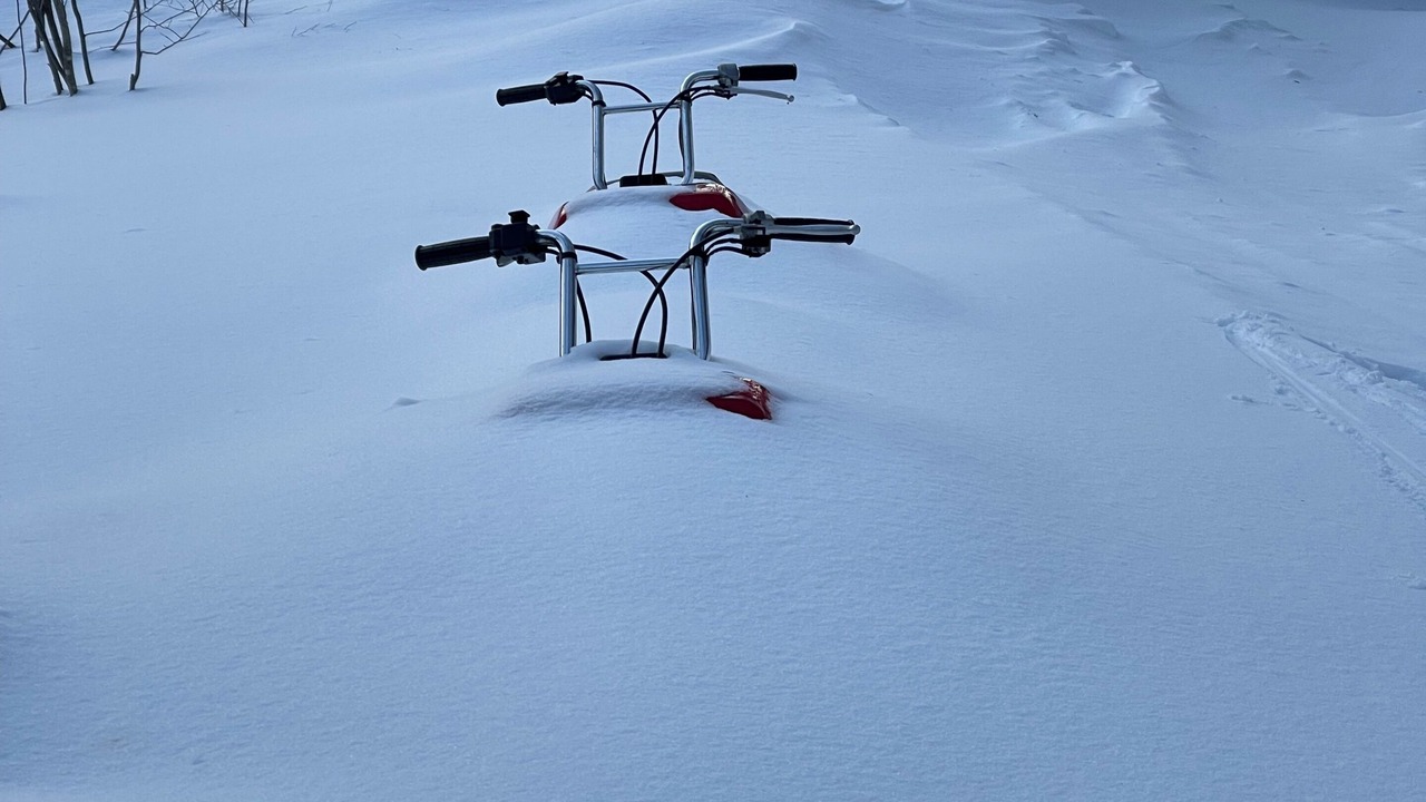 Photo of Others in Yuzawa