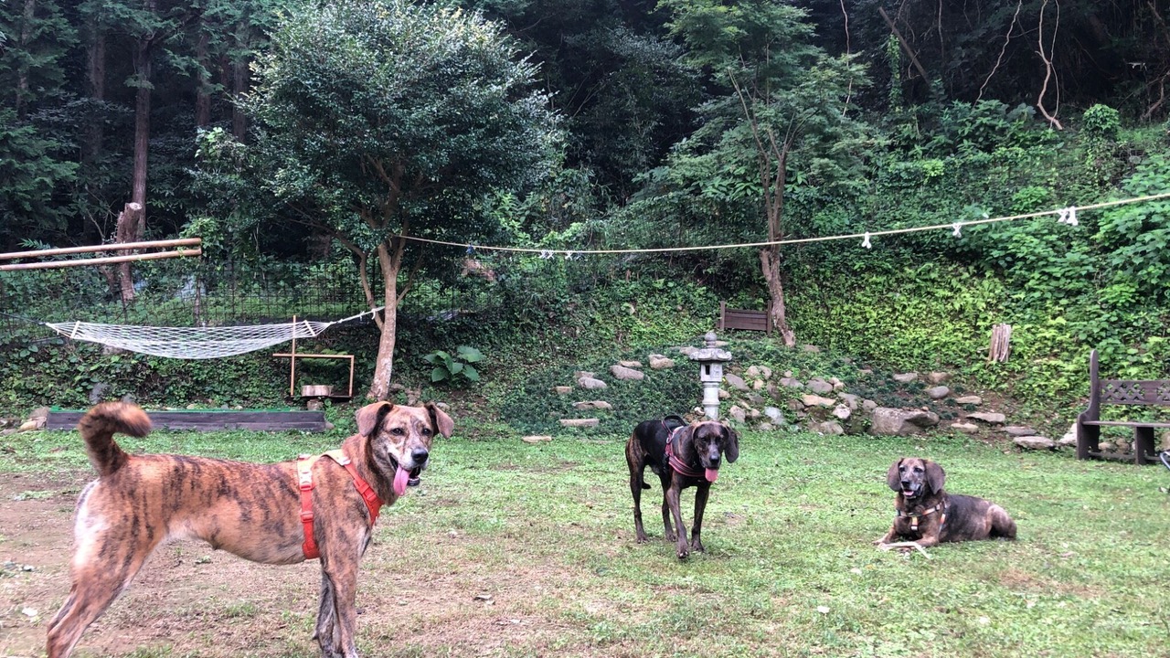 Photo of Outdoor in Minamiizu
