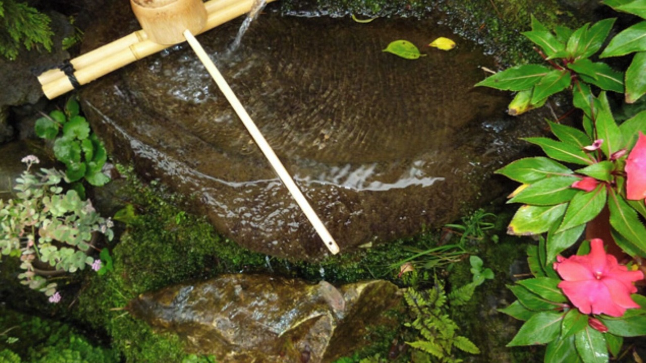 Photo of Others in Otsuki