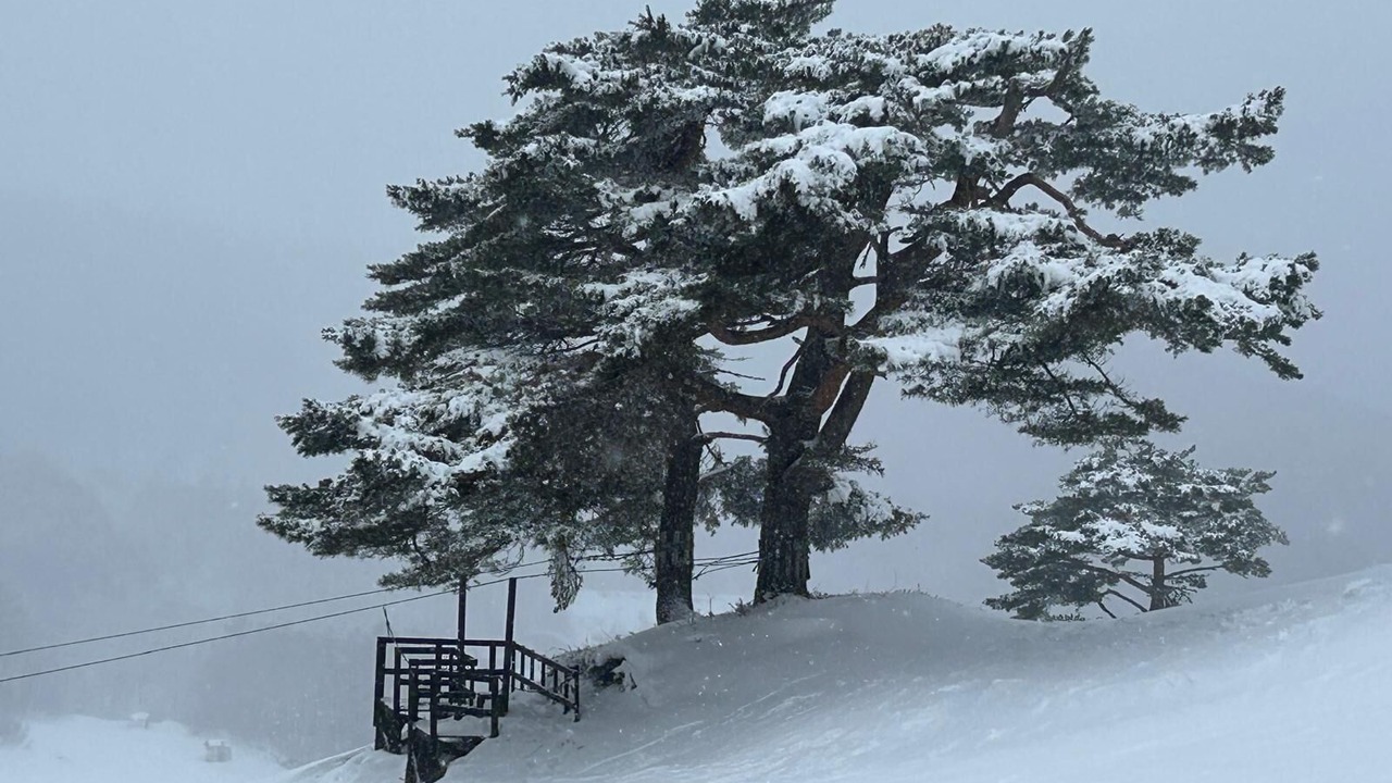 Photo of Others in Madarao Mountain Resort