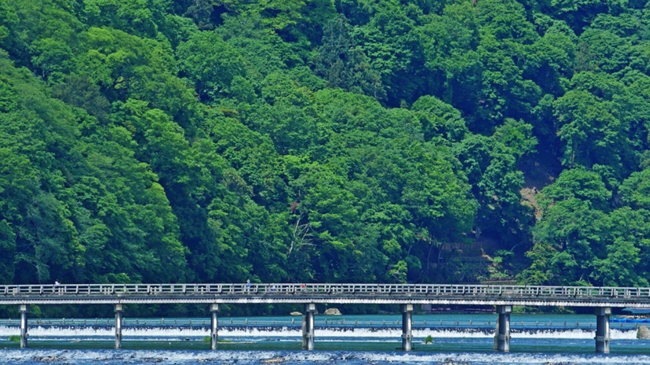 Photo of Others in Arashiyama