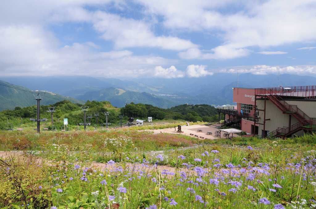 Photo of Outdoor in Hakuba