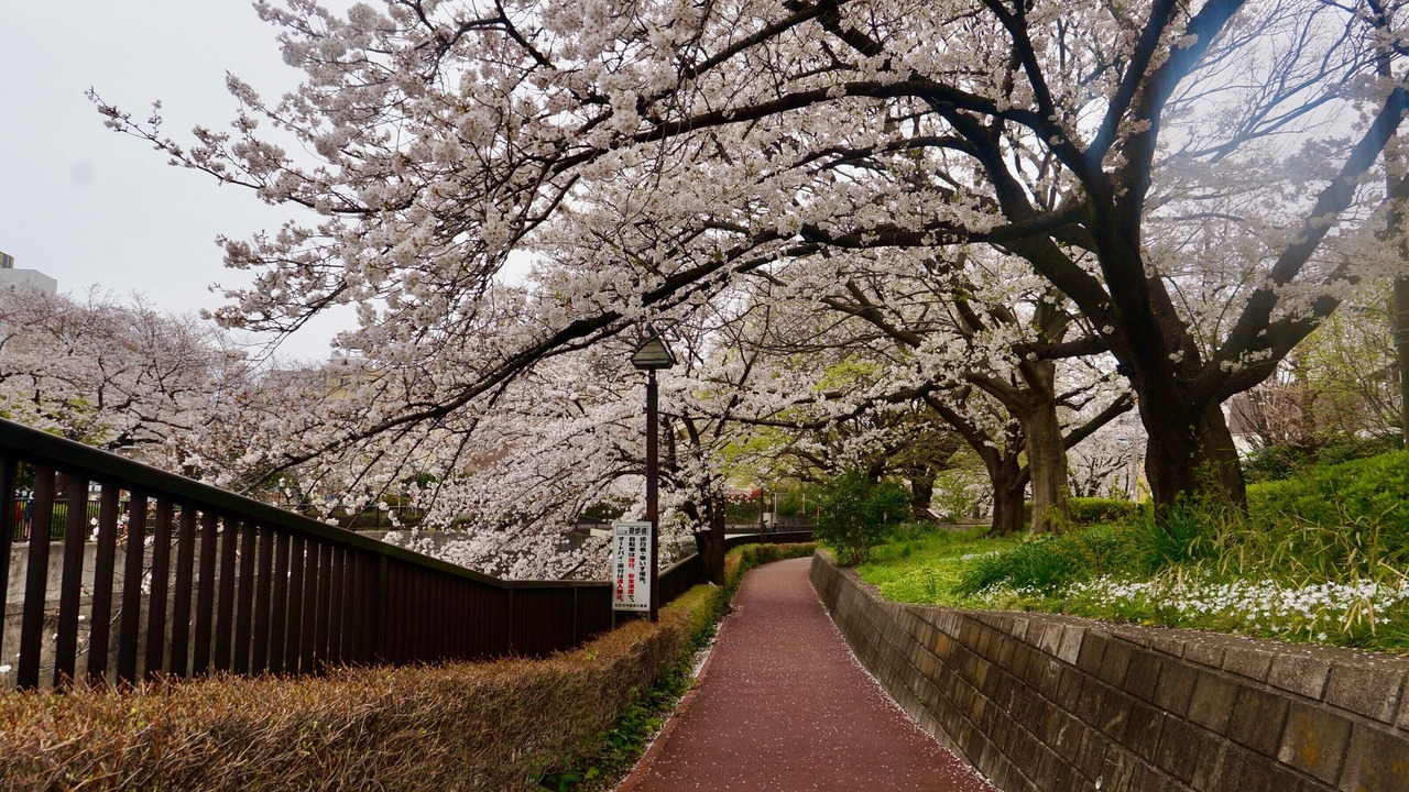 Photo of Others in Kita