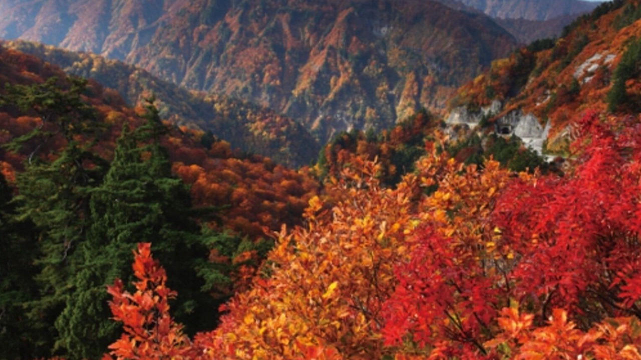 Photo of Outdoor in Ishikawa Prefecture