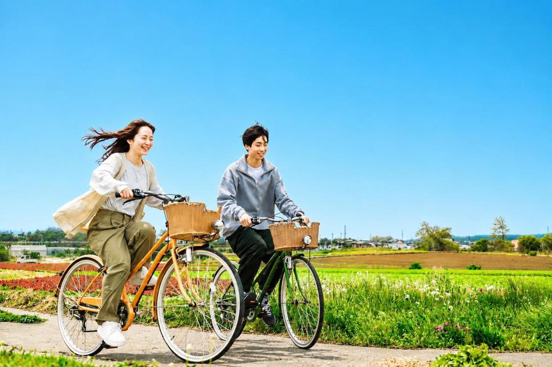 Photo of Others in Miyota