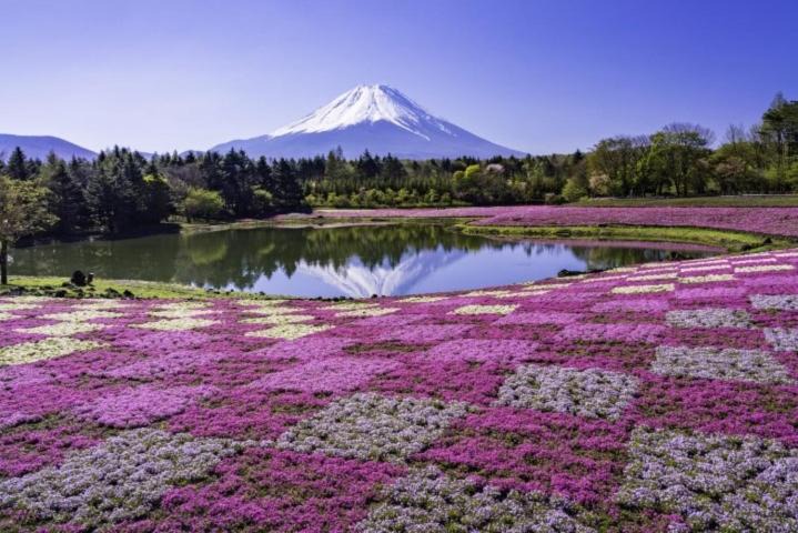 Photo of Others in Fujiyoshida