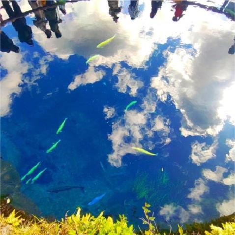 Photo of Others in Fujiyoshida
