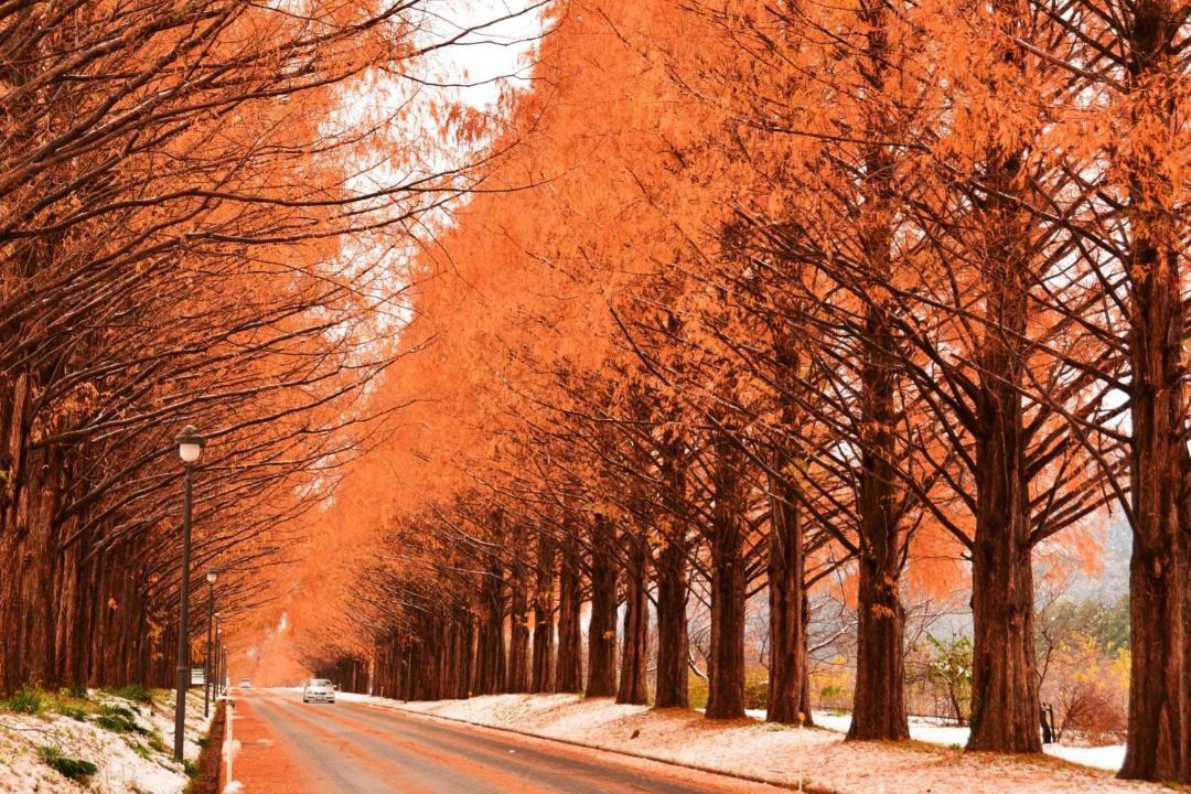 Photo of Others in Shiga Prefecture