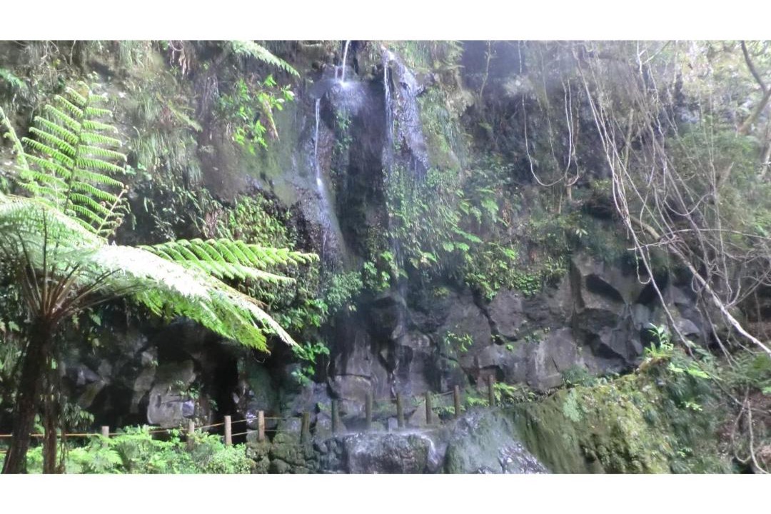 Photo of Others in Hachijo