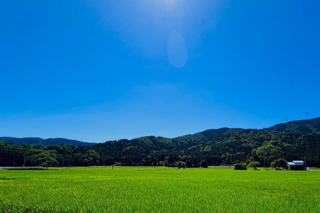 Photo of Others in Nagahama