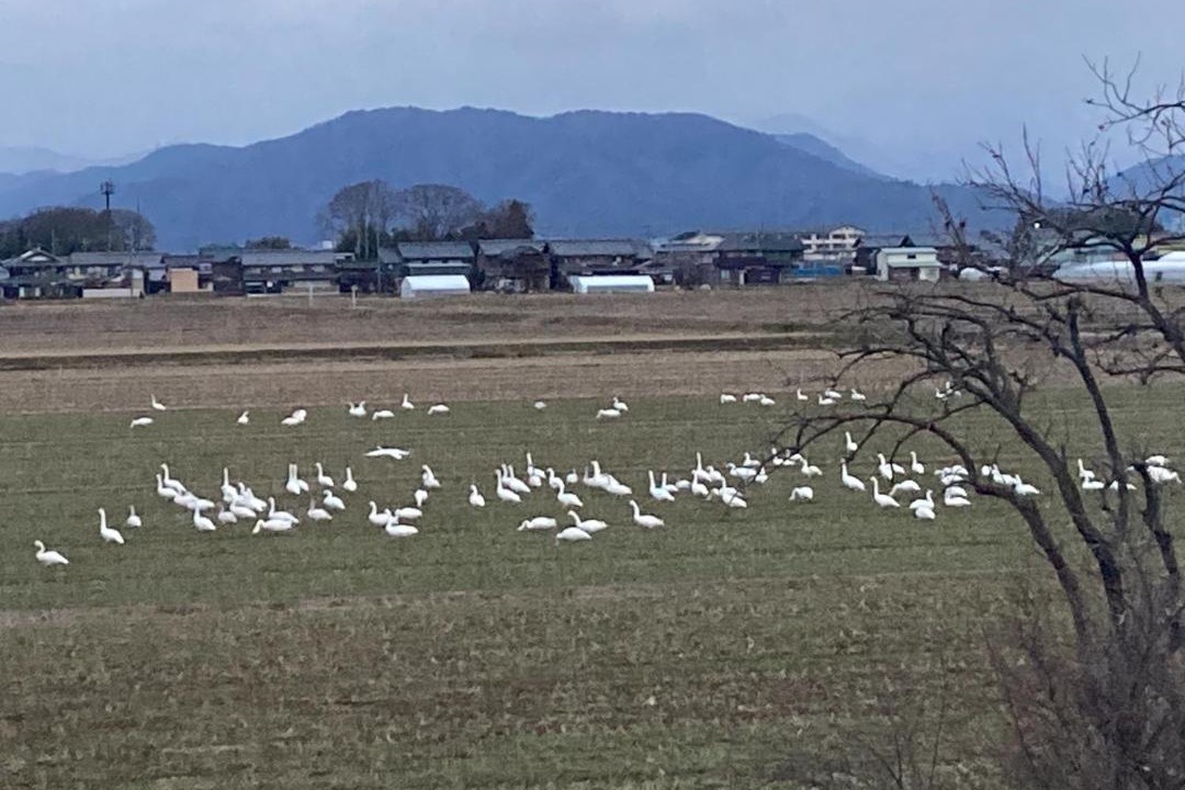Photo of Others in Takata