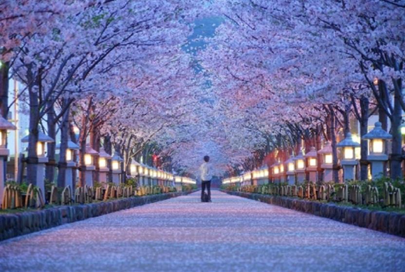 Photo of Others in Koshigoe