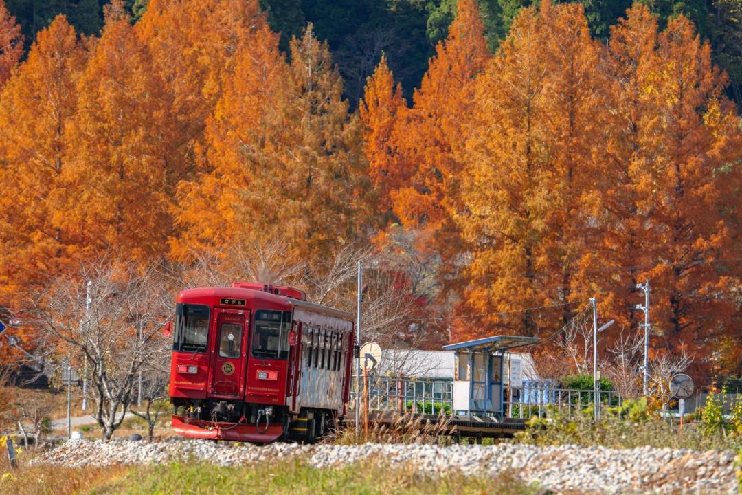 Photo of Others in Hachiman-cho
