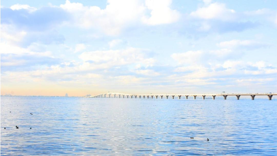 Photo of Others in Kisarazu