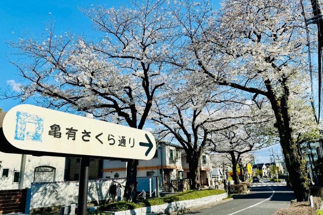 Photo of Others in Kameari