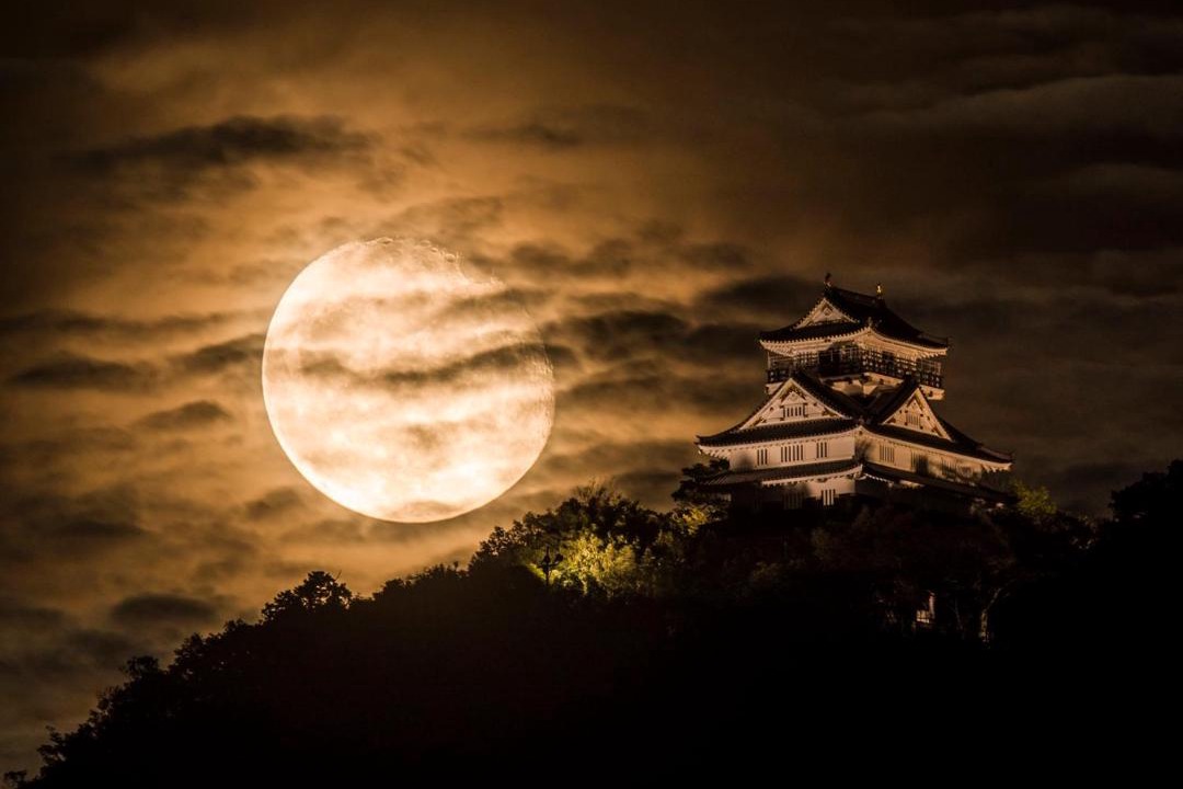 Photo of Others in Gifu