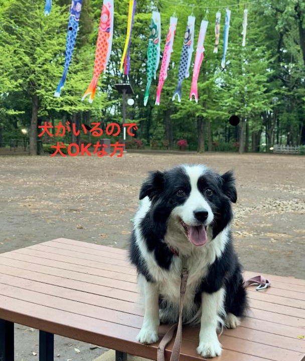 Photo of Outdoor in Setagaya
