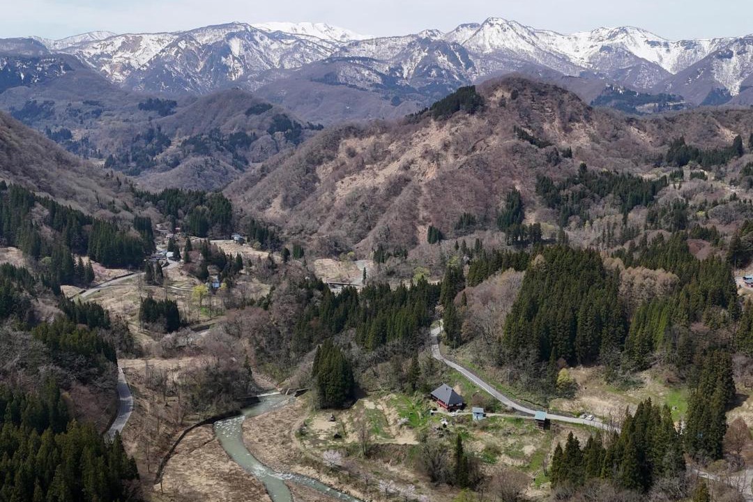 Photo of Others in Otari