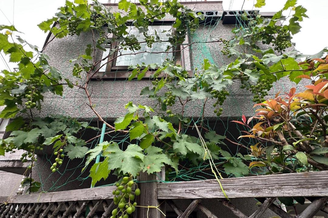 Photo of Others in Setagaya