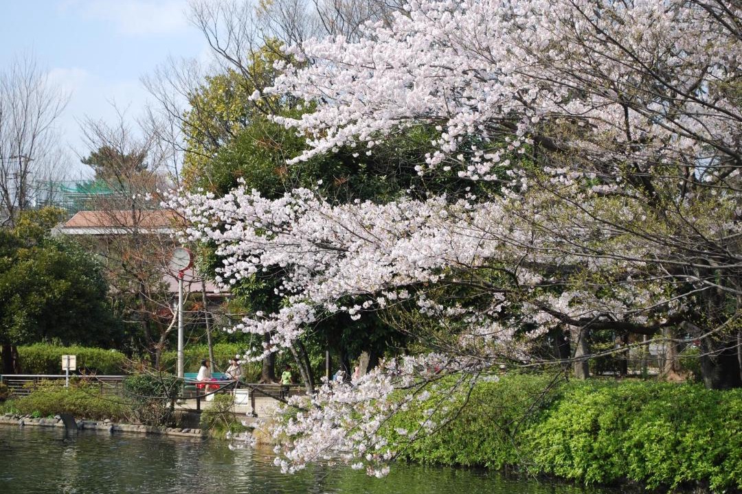Photo of Others in Suginami