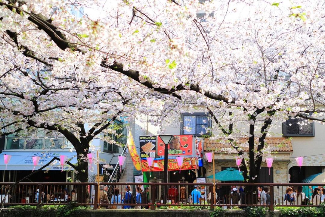 Photo of Others in Ikejiri