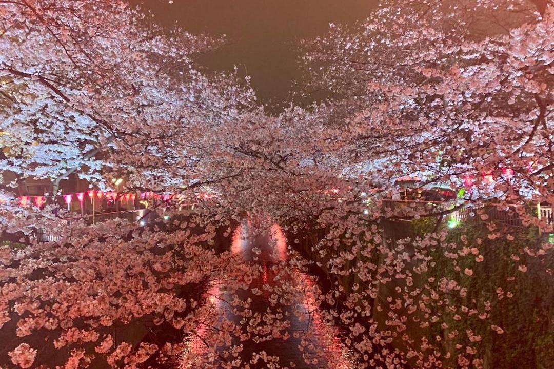 Photo of Others in Ikejiri