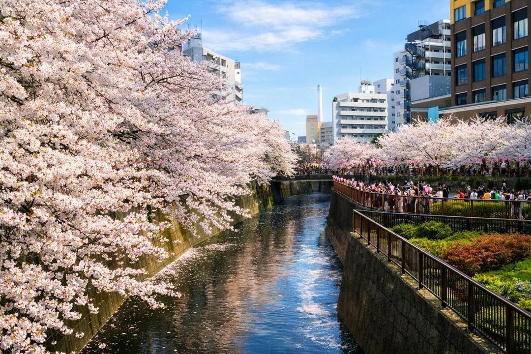 Photo of Others in Ikejiri