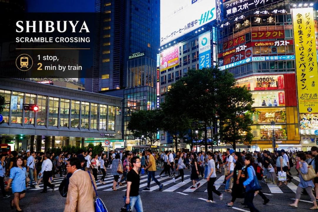 Photo of Others in Ikejiri