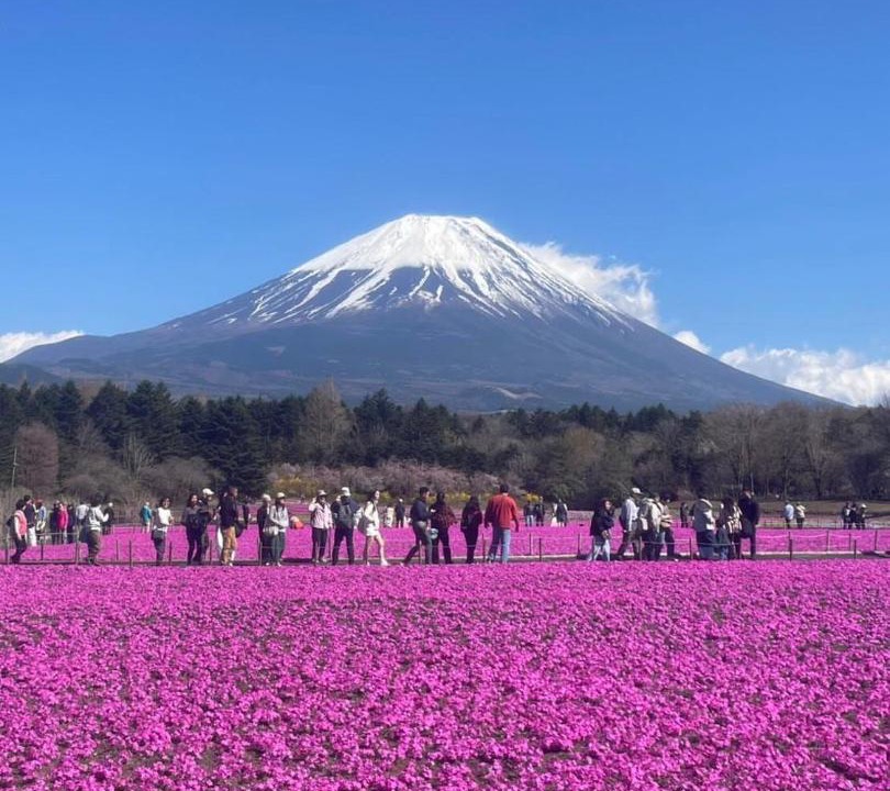 Photo of Others in Kofu