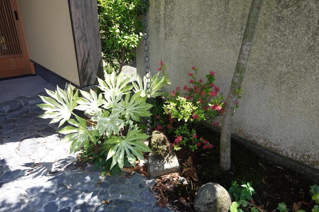 Photo of Others in Kamakura