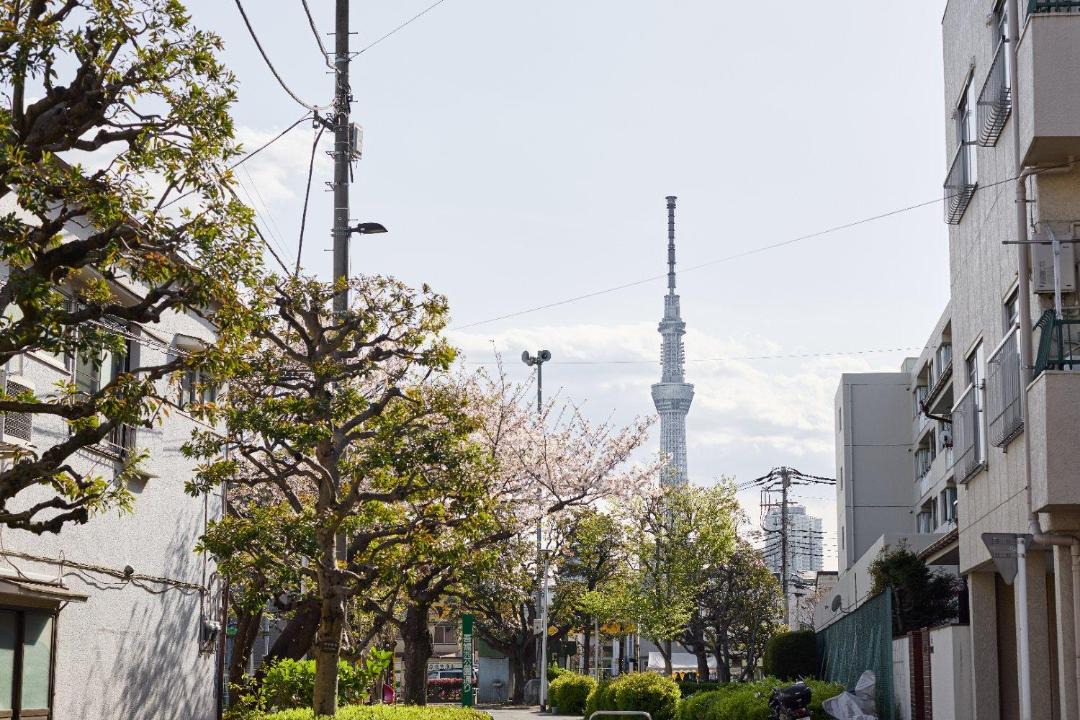 Photo of Others in Sumida
