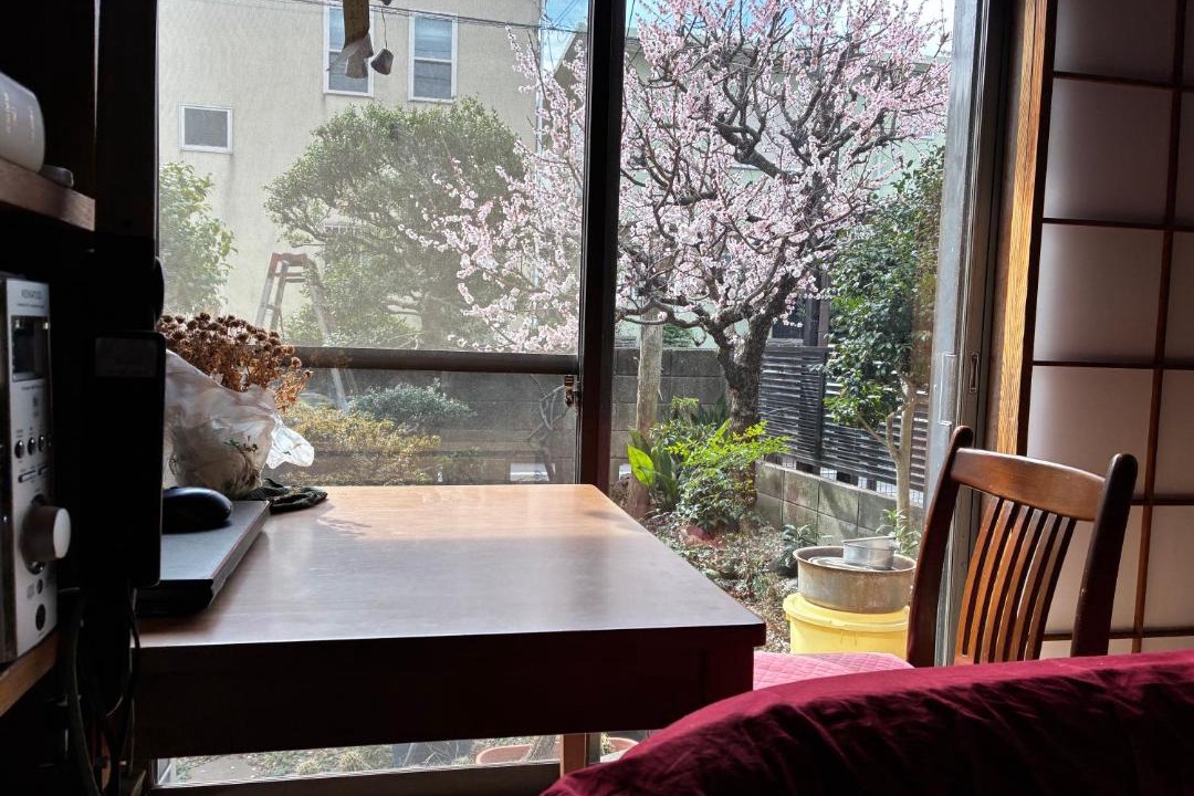 Photo of Others in Suginami