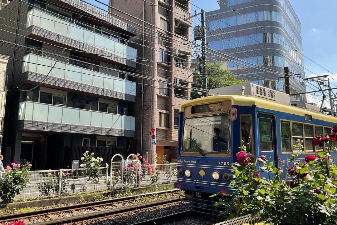 Photo of Others in Minamiotsuka